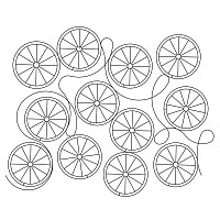 bicycle wheel pano 001